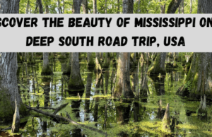 Discover Mississippi on a Deep South Road Trip, USA