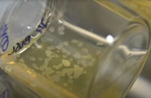 State Supreme Court Rules Embryos ARE Children! | The Gateway Pundit