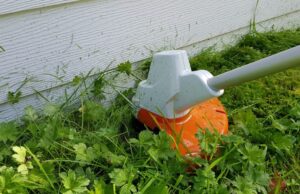 Our top picks to tackle unruly gardens