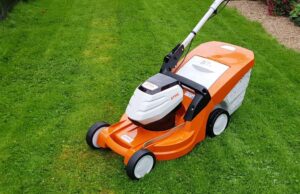 For every garden and budget