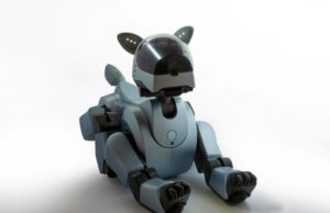 CERN releases robot-dog to inspect radiation zones and its very Black Mirror