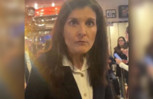 The Ratio: Nikki Haley Roasted Over Her End of the Weekend Boast of “12 Fellas Down. 1 To Go” | The Gateway Pundit