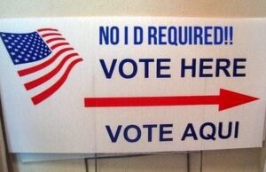 Landmark Decision: Appeals Court Strikes Down NYC Law Permitting 800K Noncitizens and Illegal Alien “Dreamers” to Vote as Unconstitutional | The Gateway Pundit