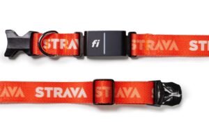 Your favourite dogs are going to be on Strava now