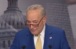 Chuck Schumer Accused of Engaging in ‘Grotesque’ Foreign Election Interference on Senate Floor | The Gateway Pundit