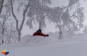 Beginners Allowed: A JAPOW Paradise for Skiers of all Levels