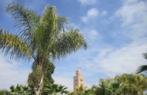 A Guide to the Best International Events in Marrakech