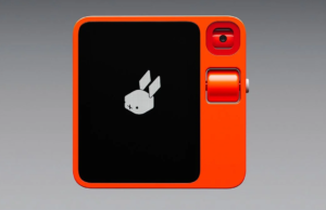 Rabbit R1 starts shipping to the first batch of US buyers next week