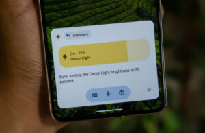 Which is the better AI chatbot?