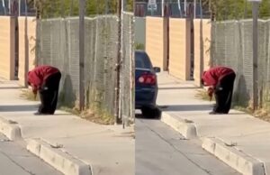 Man Arrested for Removing and Allegedly “Eating” Pedestrian’s Leg Following Train Accident (VIDEO) | The Gateway Pundit