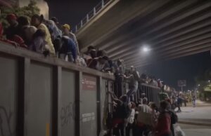 DISGRACEFUL: Senate Dems Unanimously Vote Against Spending Package Amendment to Stop Biden Admin from Using Taxpayer Dollars to Fly Illegals INTO America — Musk Calls Them ‘Insane!’ | The Gateway Pundit