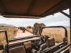 How Much Does a Uganda Safari Cost?