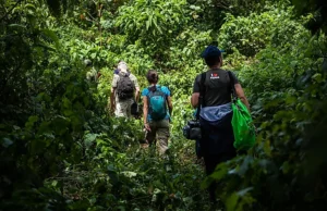 A Guide to Climbing the Rwenzori Mountains