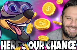 100x Potential Meme Coin Launch