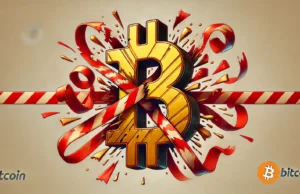 Winklevoss twins donate $1M to challenge Elizabeth Warren