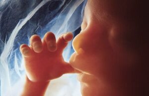 This Election Is Too Important for Pro-Lifers to Stay at Home – We Must Come Out in Force to Support Republicans and Support Life | The Gateway Pundit
