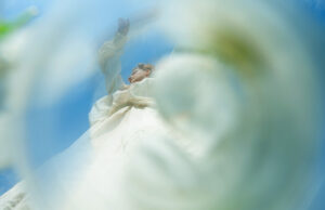 How to Deal With Brain Fog, From Someone Who Has It Often