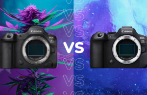 Canon EOS R5 Mark II vs EOS R6 Mark II: The two Canon cameras compared