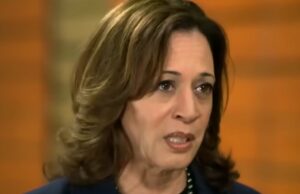Kamala Told She’s ‘Not Welcome’ in Blue City, Given Brutal Warning as Harris Campaign Starts Rough | The Gateway Pundit