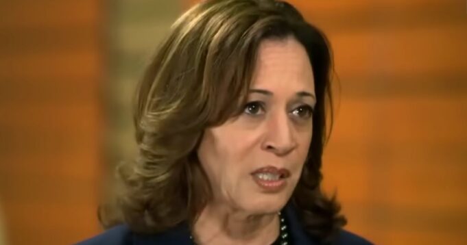 Kamala Told She’s ‘Not Welcome’ in Blue City, Given Brutal Warning as Harris Campaign Starts Rough | The Gateway Pundit
