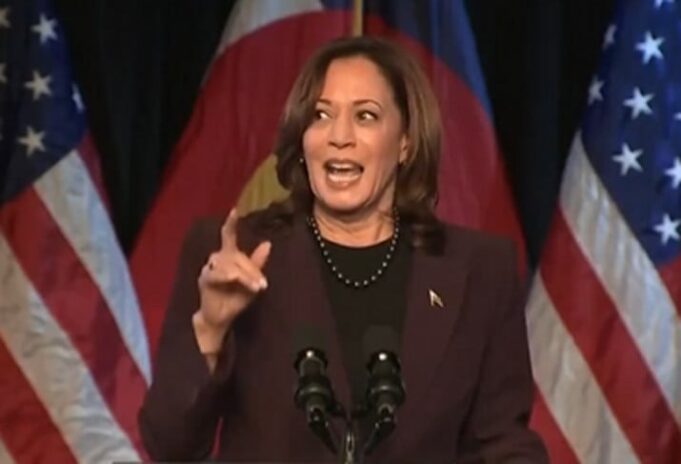 REPORT: Democrats’ Swift Switch to Kamala Harris Appears Desperate, May Already be Backfiring | The Gateway Pundit
