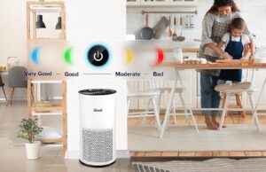 Breathe easier with this limited time air purifier discount