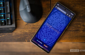 8 tips you should know