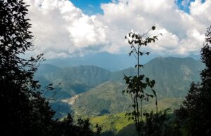 Why is Shivapuri Day Hiking in Nepal so Popular?