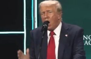 Harris Campaign Slams Criminal Trump For Promising To End Democracy