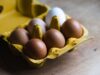 Brown Eggs vs. White Eggs: What’s the Difference?