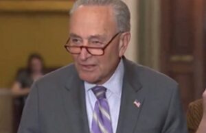 Chuck Schumer is Losing His Mind Over JD Vance, Demanding Trump Drop Him Then Calling Him a Gift to Democrats | The Gateway Pundit