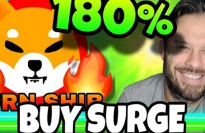 Crypto Analyst Projects Shiba Inu Price Surge as Buying Activity Jumps 180%