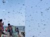 “Dragonfly Apocalypse” — Thousands of Dragonflies Swarm Beachgoers at Rhode Island’s Misquamicut Beach | The Gateway Pundit