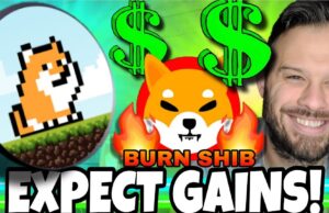 Former Goldman Sachs Analyst Predicts New Profitable Cycle for Meme Coins