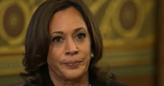 Survey Finds Overwhelming Majority of Americans Believe Kamala Harris is for Open Borders | The Gateway Pundit