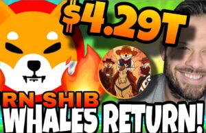 Shiba Inu’s Whale Activity Signals Potential Price Recovery – Will the Newest Meme Coin SHIBASHOOT Follow SHIB’s Success?
