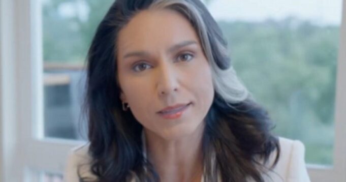 Tulsi Gabbard Absolutely Savages Kamala Harris for Questioning JD Vance’s Loyalty to Our Country (VIDEO) | The Gateway Pundit