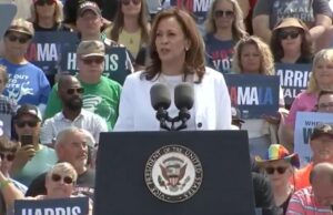 CRINGE: Kamala Harris Delivers Word Salad at Bon Iver Concert Disguised as Campaign Rally (VIDEO) | The Gateway Pundit
