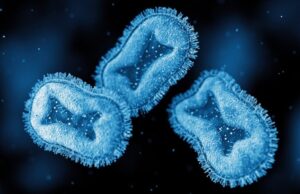 Here We Go: WHO Chief Calls Emergency Meeting of Experts to Decide if Monkeypox Outbreak Warrants Highest Level of International Health Alert | The Gateway Pundit