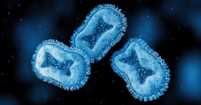 Here We Go: WHO Chief Calls Emergency Meeting of Experts to Decide if Monkeypox Outbreak Warrants Highest Level of International Health Alert | The Gateway Pundit