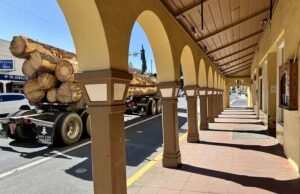 Tuolumne County: Adventure awaits in the Heart of California