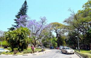 Your Ultimate Guide to Booking Airport Transfers in Zambia