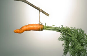 “Exploitative” IT firm has been delaying 2,000 recruits’ onboarding for years