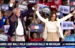 New Polls Shows Tim Walz Soaring As JD Vance Craters To New Low