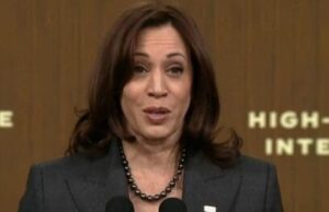 Kamala Harris Is Building An Army Of Volunteers To Beat Trump