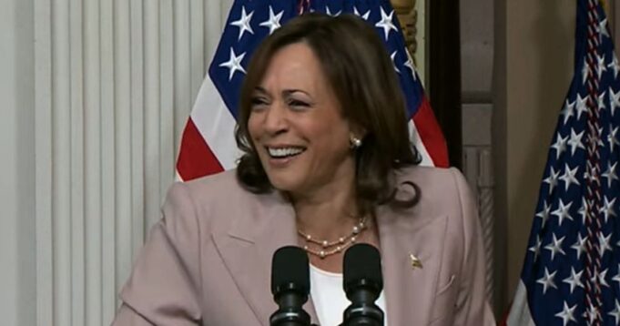 After Weeks of Silence from Kamala, Team Trump Trolls Harris Campaign By Releasing Policy Website for Her ‘Kamala Harris Has Yet to Tell Voters What Her Policies Are, So We Thought We’d Help Them Out’ | The Gateway Pundit