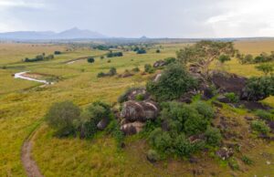 Attractions in Kidepo Valley National Park