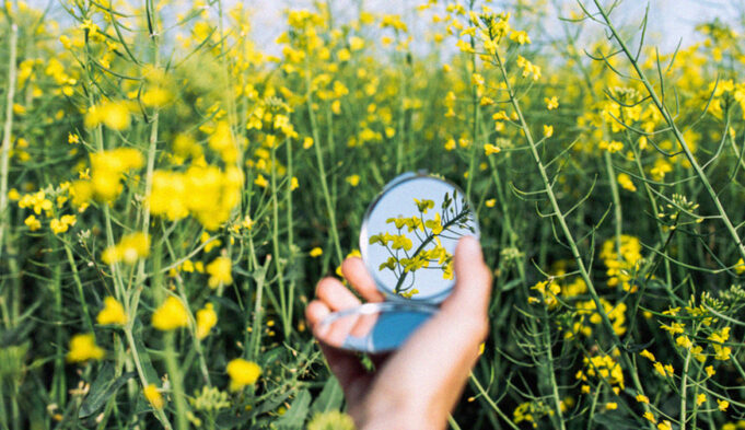 My Anti-Acne Diet Led to Disordered Eating. Here’s How I Healed