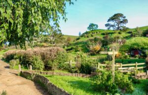 My New Zealand North Island Road Trip Itinerary