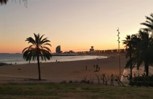Barcelona Drought: How Tourists Can Help Conserve Water